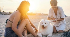 Dos turistas con su perro en la playa en un atardecer. imagen para representar los seguros de viaje con mascota España. Credito: pexels-anntarazevich